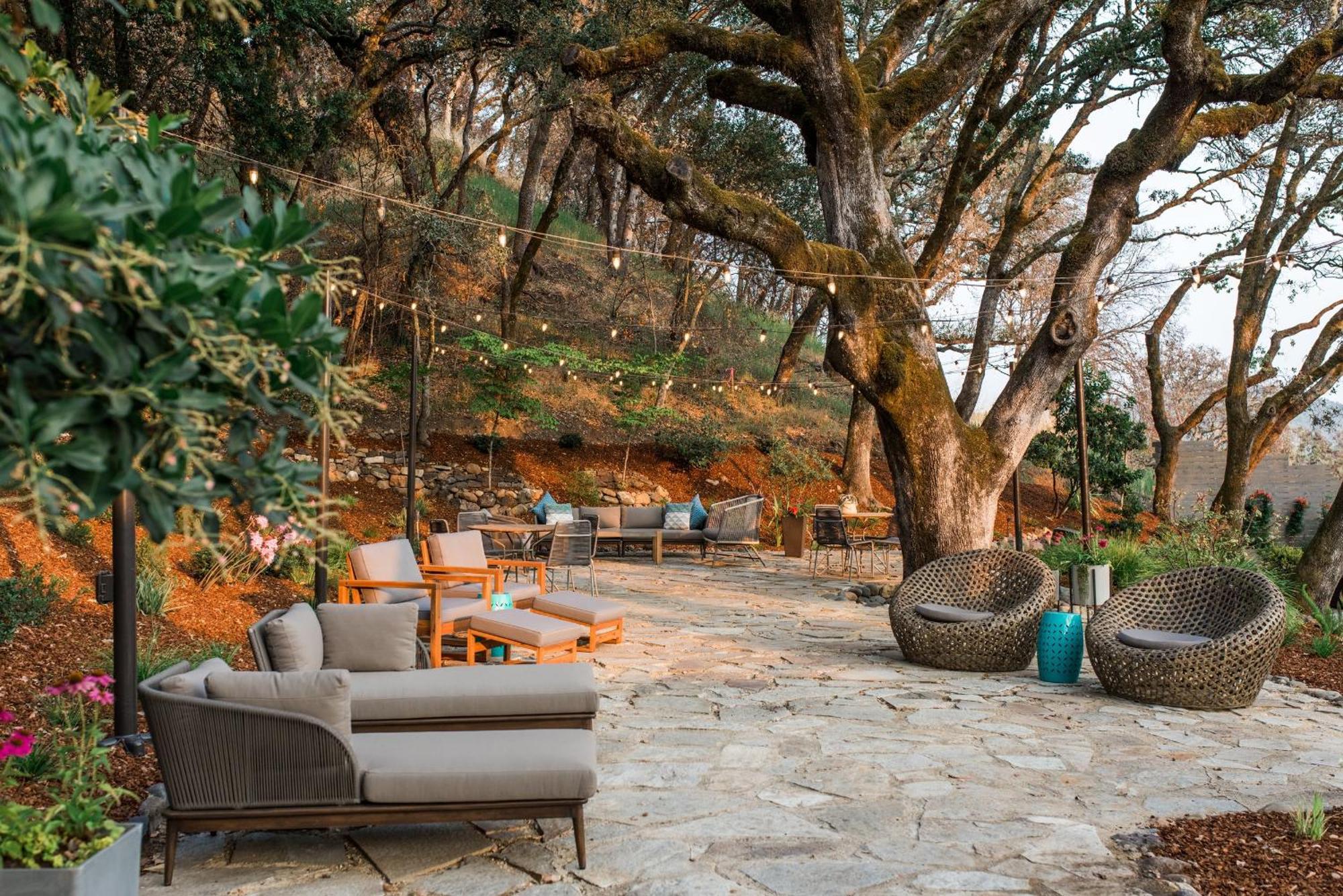 Hotel Olea